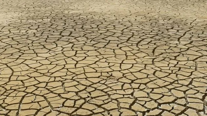 Le conseguenze della siccità sui terreni