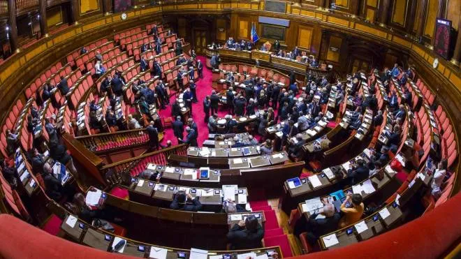 Un momento in aula durante il voto di fiducia sul decreto legge sicurezza al Senato, Roma, 12 aprile 2017. ANSA/ANGELO CARCONI