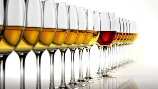 GLASSES OF WINE, COMPUTER ARTWORK. ARTWORK, ILLUSTRATION, WHITE BACKGROUND, DRINK, DIET, BEVERAGE, ALCOHOL, WINE, GLASS, LARGE GROUP OF OBJECTS, IN A ROW, ALCOHOLIC, DRINKS, GLASSES, WINE GLASS, +++ VINO, BICCHIERE DI VINO, SFONDO BIANCO, BIBITE, BIBITA, BERE, DIETA, ALIMENTAZIONE, VETRO, BICCHIERE, LENTE, VETRI, BICCHIERI, OCCHIALI, ALCOLICO, ALCOLISTA, ALCOL, ILLUSTRAZIONE, GRANDE GRUPPO DI OGGETTI, ILLUSTRAZIONE, IN UNA RIGA, BEVANDA,