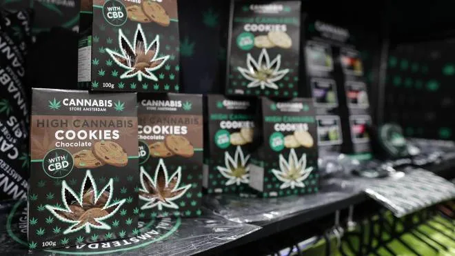 Prodotti realizzati con cannabis light e derivari dalla canapa in un negozio di Roma, 09 maggio 2019. 
ANSA/RICCARDO ANTIMIANI