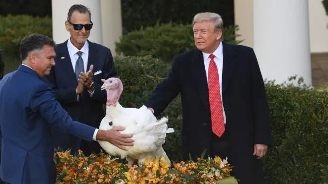 US President Donald Trump pardons the National Thanksgiving Turkey during a ceremony in the Rose Garden of the White House in Washington, DC on November 26, 2019. (Photo by SAUL LOEB / AFP)