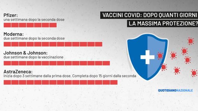 Vaccini Covid: la copertura