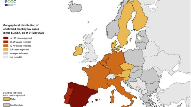 Vaiolo delle scimmie, il contagio in Europa (mappa Ecdc)
