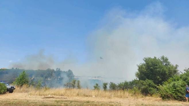 Bush fire in via della Pineta Sacchetti, at the entrance to Pineto Park