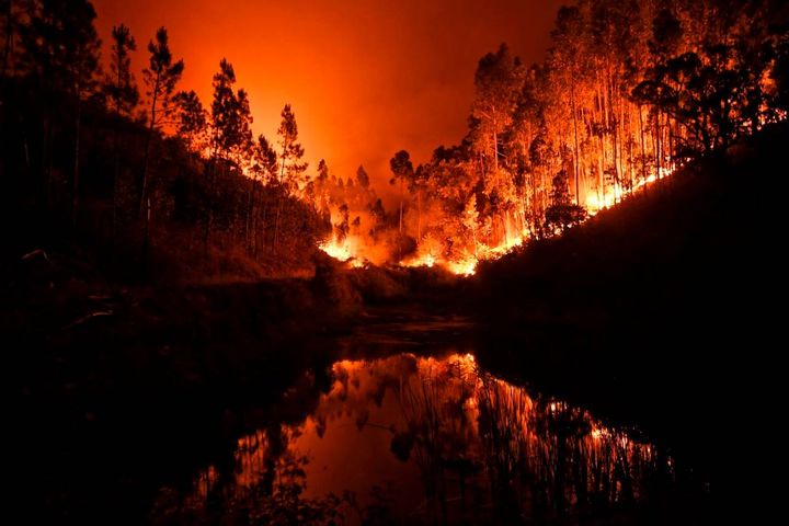 Devastante incendio in Portogallo, 18 giugno 2017 (Afp, Patricia de Melo Moreira)