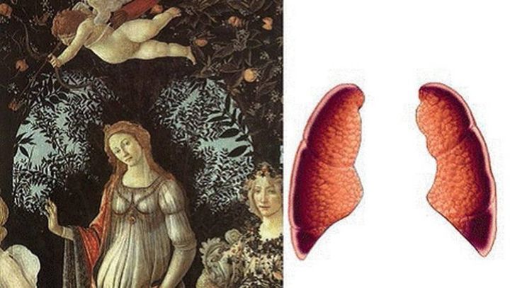 La vegetazione riproduce il disegno dei polmoni nel dipinto da  Botticelli nella sua 'Primavera'