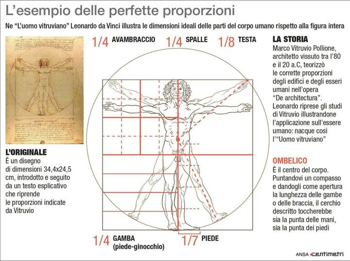 Grafico: caratteristiche e curiosità dell'uomo vitruviano di Leonardo da Vinci (Ansa)