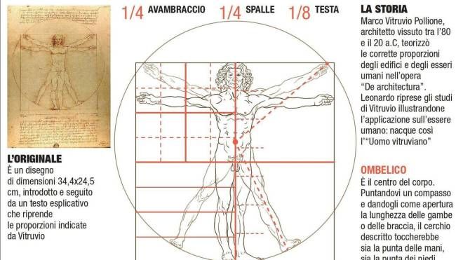 Grafico: caratteristiche e curiosità dell'uomo vitruviano di Leonardo da Vinci (Ansa)