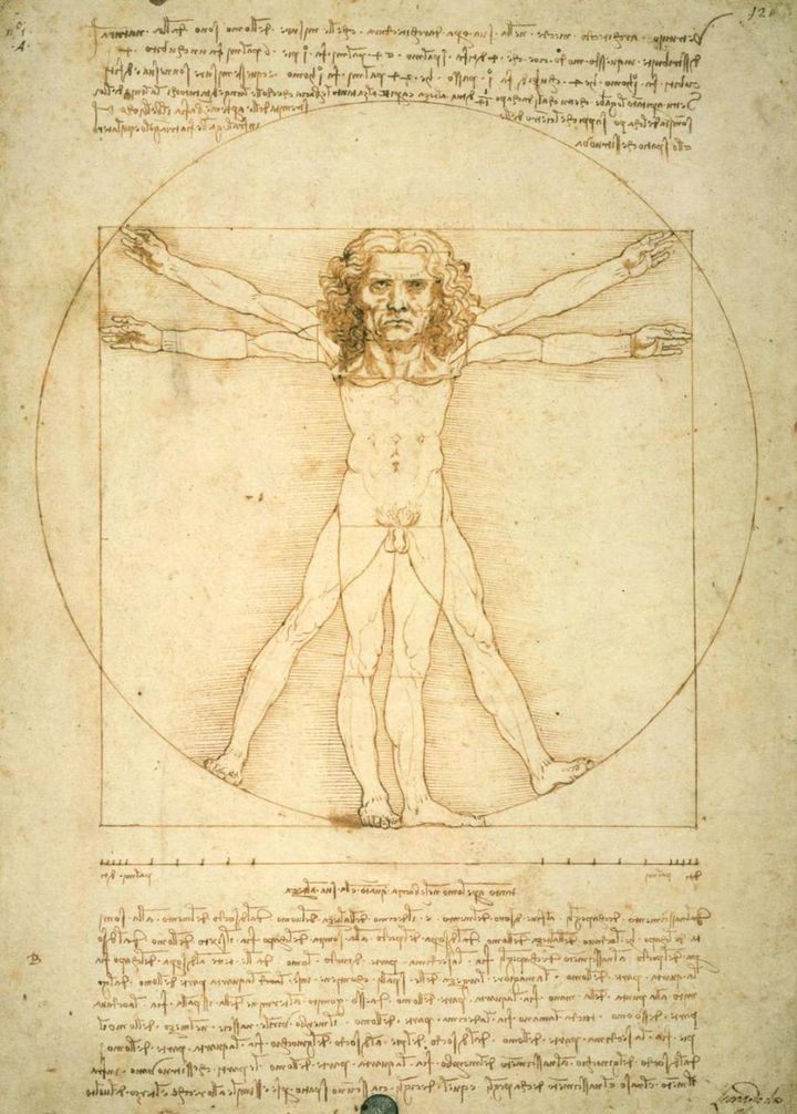 L'Uomo Vitruviano di Leonardo (Ansa) 