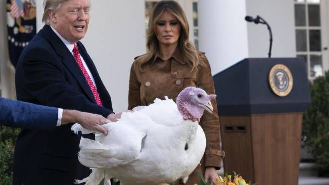 Donald e Melania Trump con uno dei tacchini graziati (Ansa)