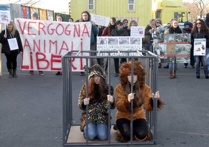 Protesta degli animalisti davanti al circo Moira Orfei (New Press Photo)
