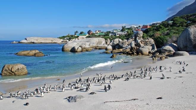 9. Boulders Beach, Città del Capo, Sudafrica – 323 foto per metro