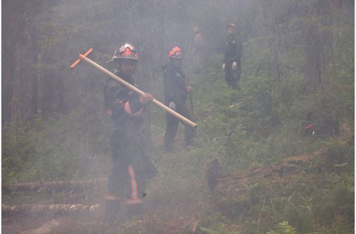 Roghi in Siberia: il fuoco ha raggiunto villaggi e riserve (foto Greenpeace)