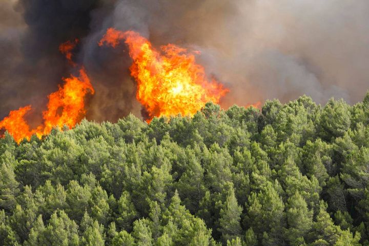 Incendio nel Ragusano (Ansa)