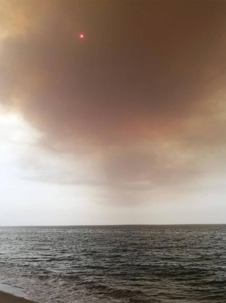 Il sole coperto da fumo degli incendi in Calabria (Ansa)