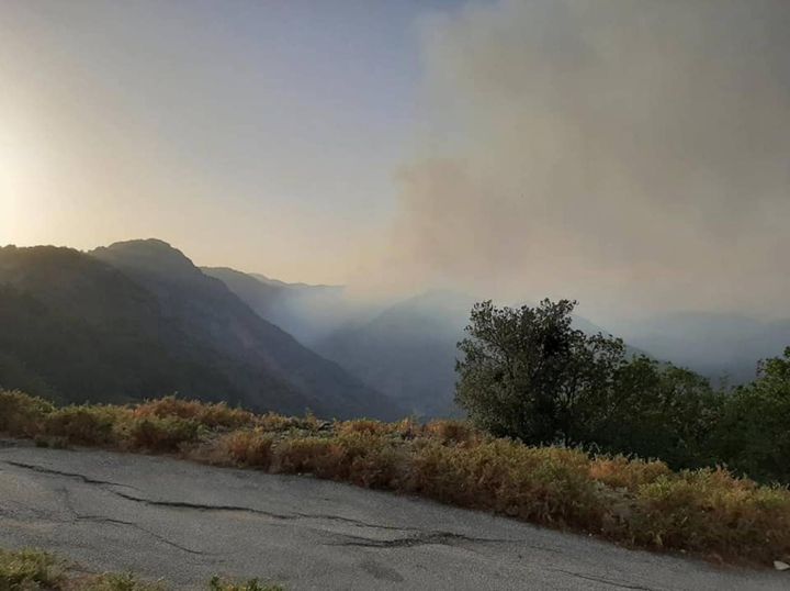 Incendi in Calabria e Sicilia (Ansa)