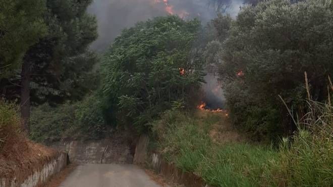 Incendi in Calabria, nel bilancio anche intossicati