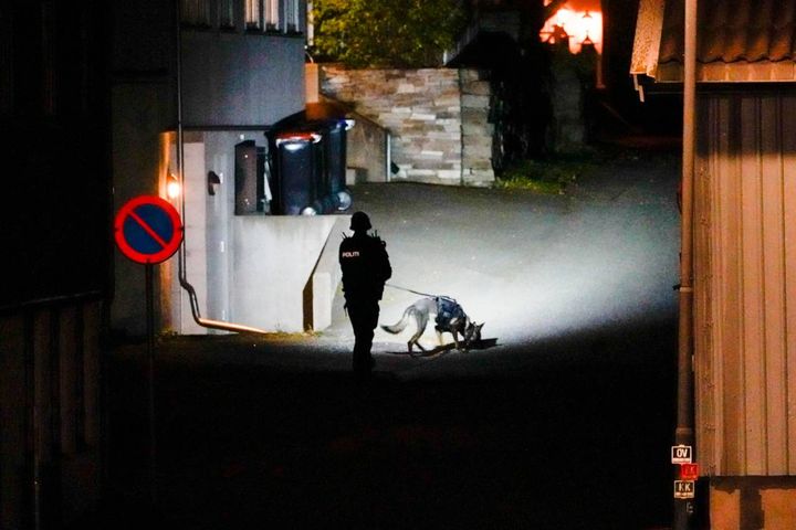 La polizia sul luogo dell'attacco a  Kongsberg, in Norvegia