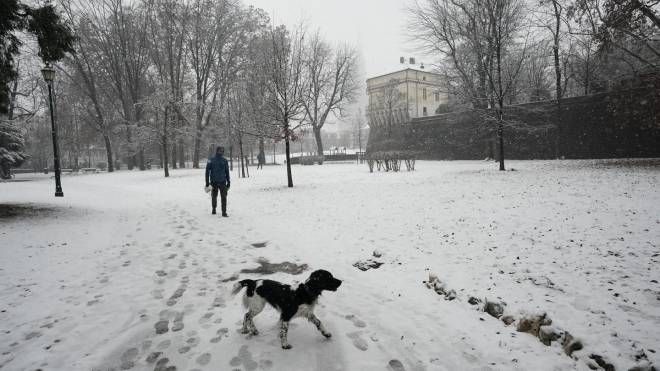 Nevica a Torino, allerta giallo nel Monferrato e in pianura (Ansa)