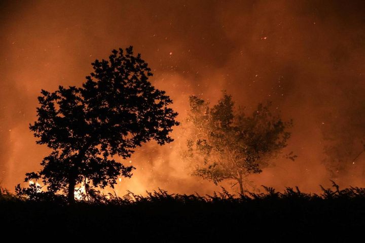 A fuoco 600 ettari di foresta nel sud della Francia, lo scorso 13 luglio