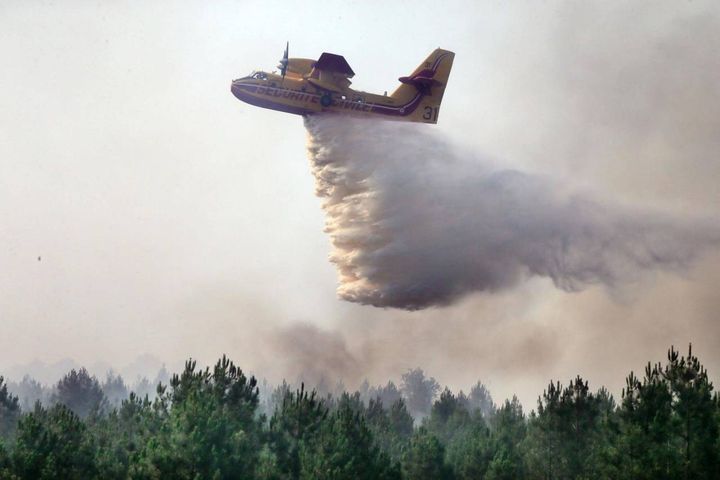 A fuoco 600 ettari di foresta nel sud della Francia, lo scorso 13 luglio