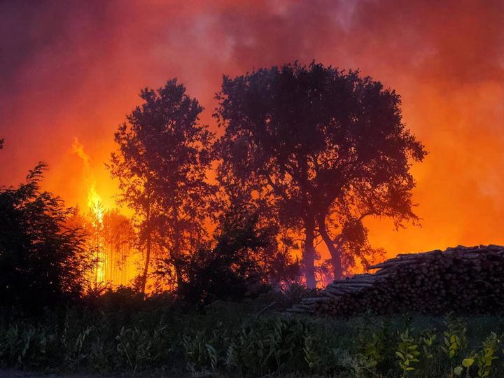 Colpita dagli incendi anche l'Ungheria (Ansa)