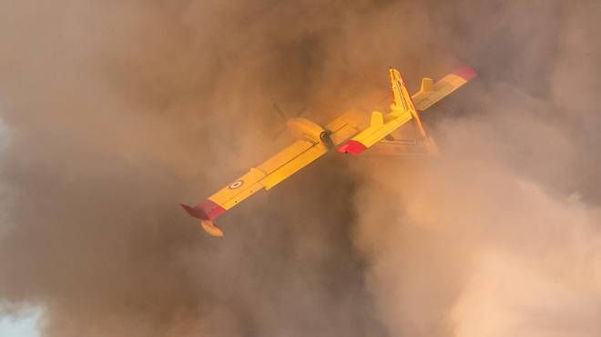Canadair in azione per spegnere l'incendio divampato nella zona di Castel Fusano, area sud di Roma