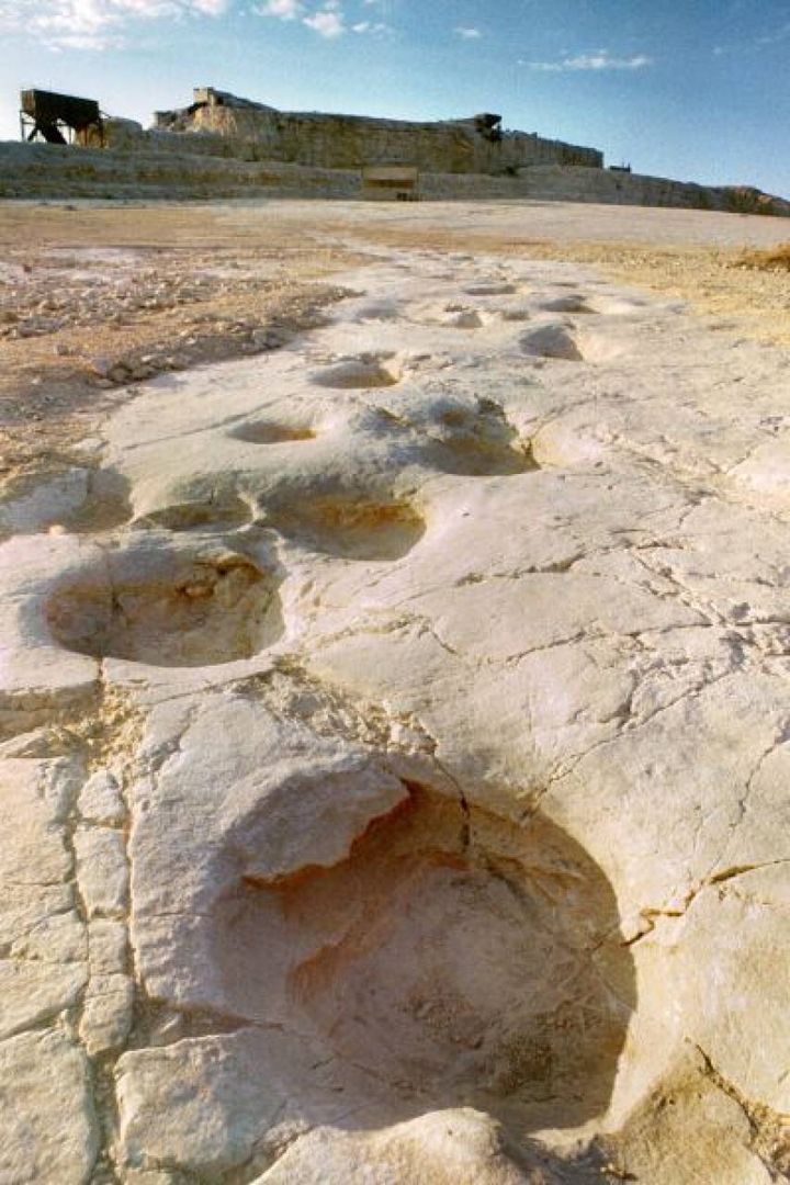 Cava dei dinosauri di Altamura (Bari). Foto: Comune di Altamura