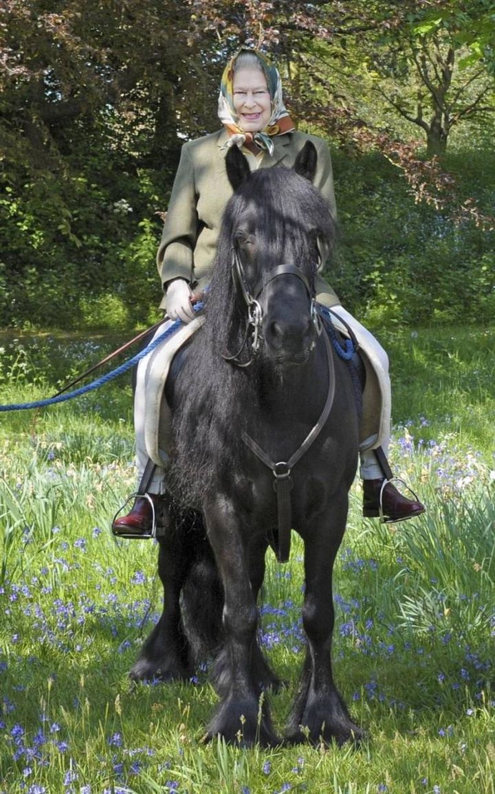 Elisabetta a cavallo nel 2011