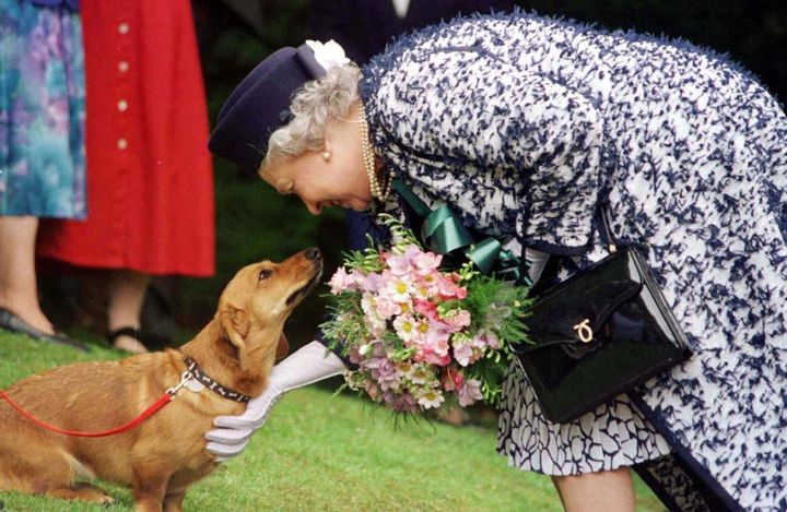 La regina Elisabetta con uno dei suoi Corgi - 1998