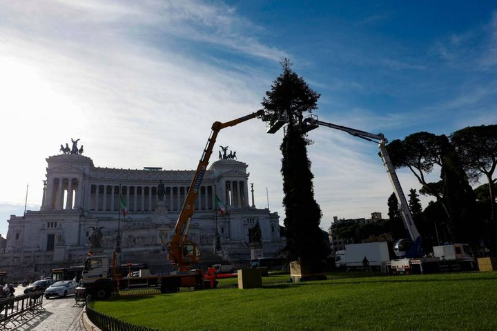 L'allestimento dell'albero di Natale 2022 in piazza Venezia a Roma
