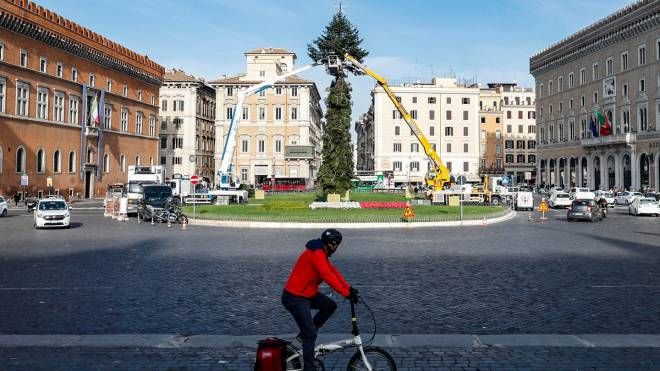 L'allestimento dell'albero di Natale 2022 in piazza Venezia a Roma