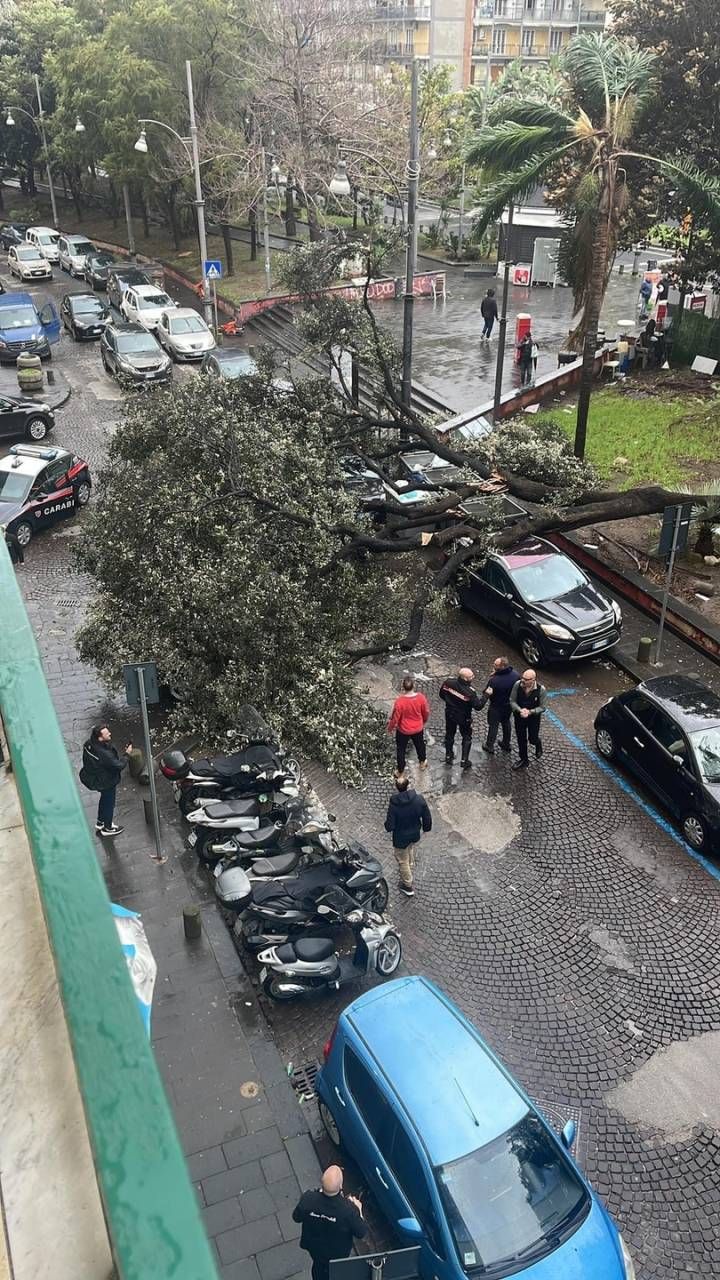 Le forti raffiche di vento stanno procurando da questa mattina forti disagi e danni in varie zone di 
Napoli.