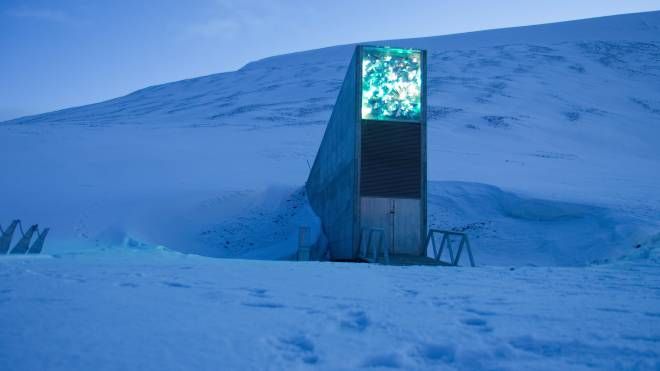 Svalbard Global Seed Vault, la banca mondiale dei semi nell'Artico (foto iStock)