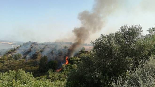 Incendi, in fiamme il bosco di Minervino Murge in Puglia (Foto Ansa)