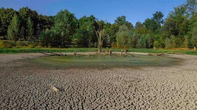 Le aree verdi milanesi trasformate in panorama autunnale a causa della siccità (Ansa)