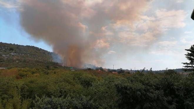 Incendio sul Carso, nella zona di Duino (Ansa)