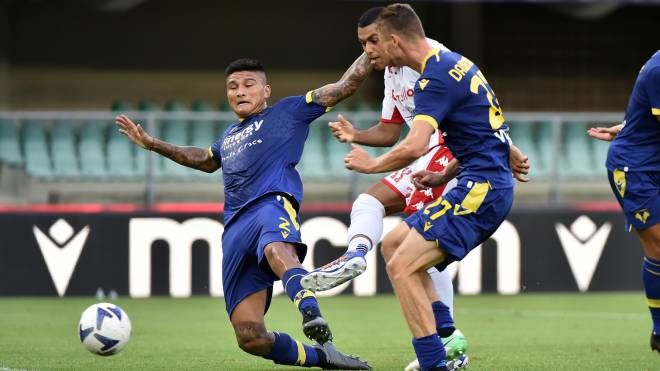 Cheddira segna al Verona: il Bari avanza ai sedicesimi di Coppa Italia (Ansa)