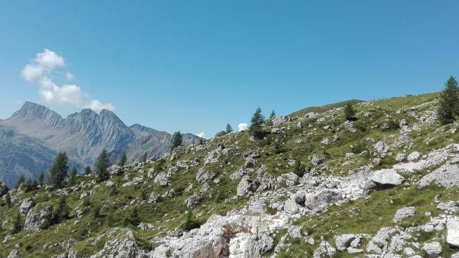 Sulle Alpi sempre meno neve e sempre più caldo (Ansa)