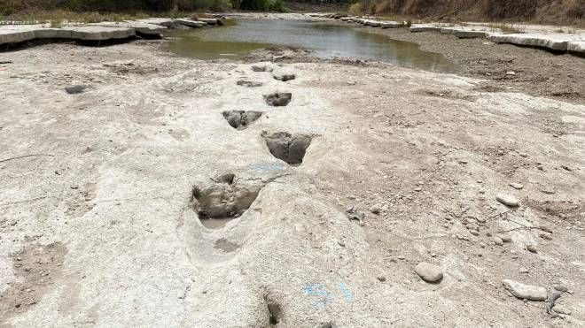 Texas, le impronte dei dinosauri nel fiume prosciugato dalla siccità estrema