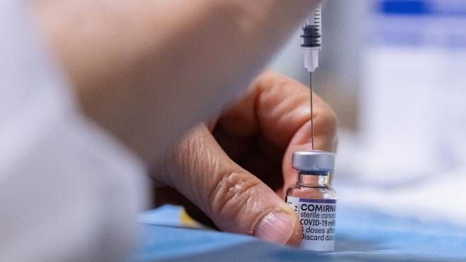 Il vaccino Comirnaty (Ansa)