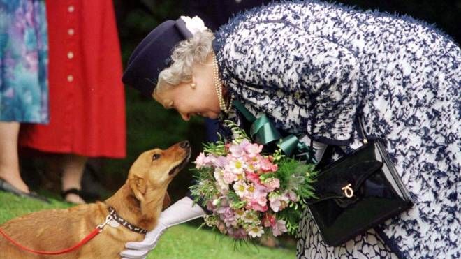 La regina Elisabetta con uno dei suoi amati cani (Ansa)