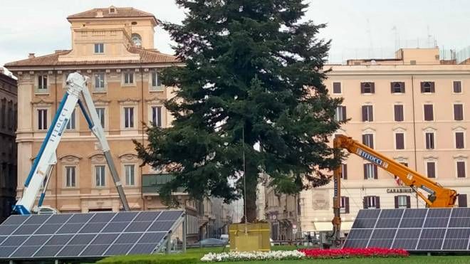 L'Abetone di piazza Venezia circondato dai pannelli solari
