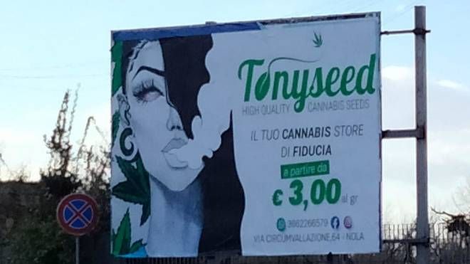 La pubblicità dello store di cannabis davanti al liceo nel napoletano
