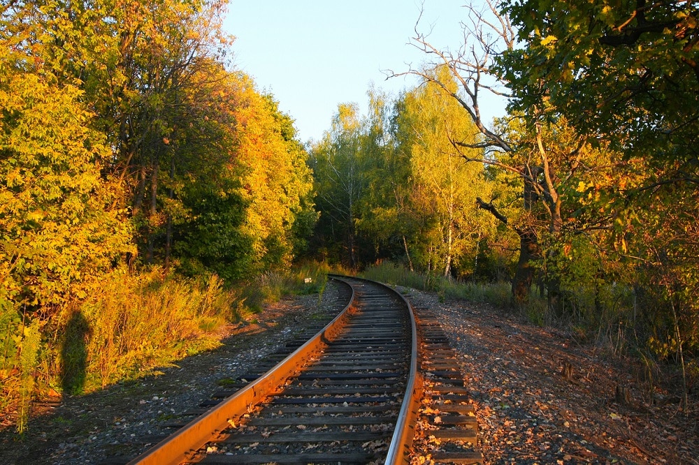 5-treni-del-foliage-per-scoprire-litalia-in-autunno