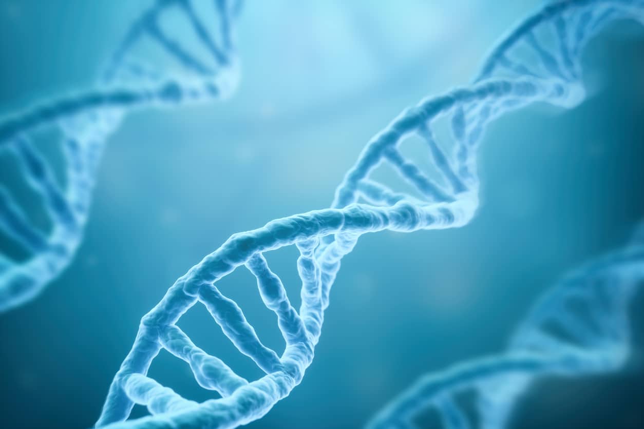 Crediti ISTOCK - Dna, un sistema all’avanguardia può creare cromosomi sintetici