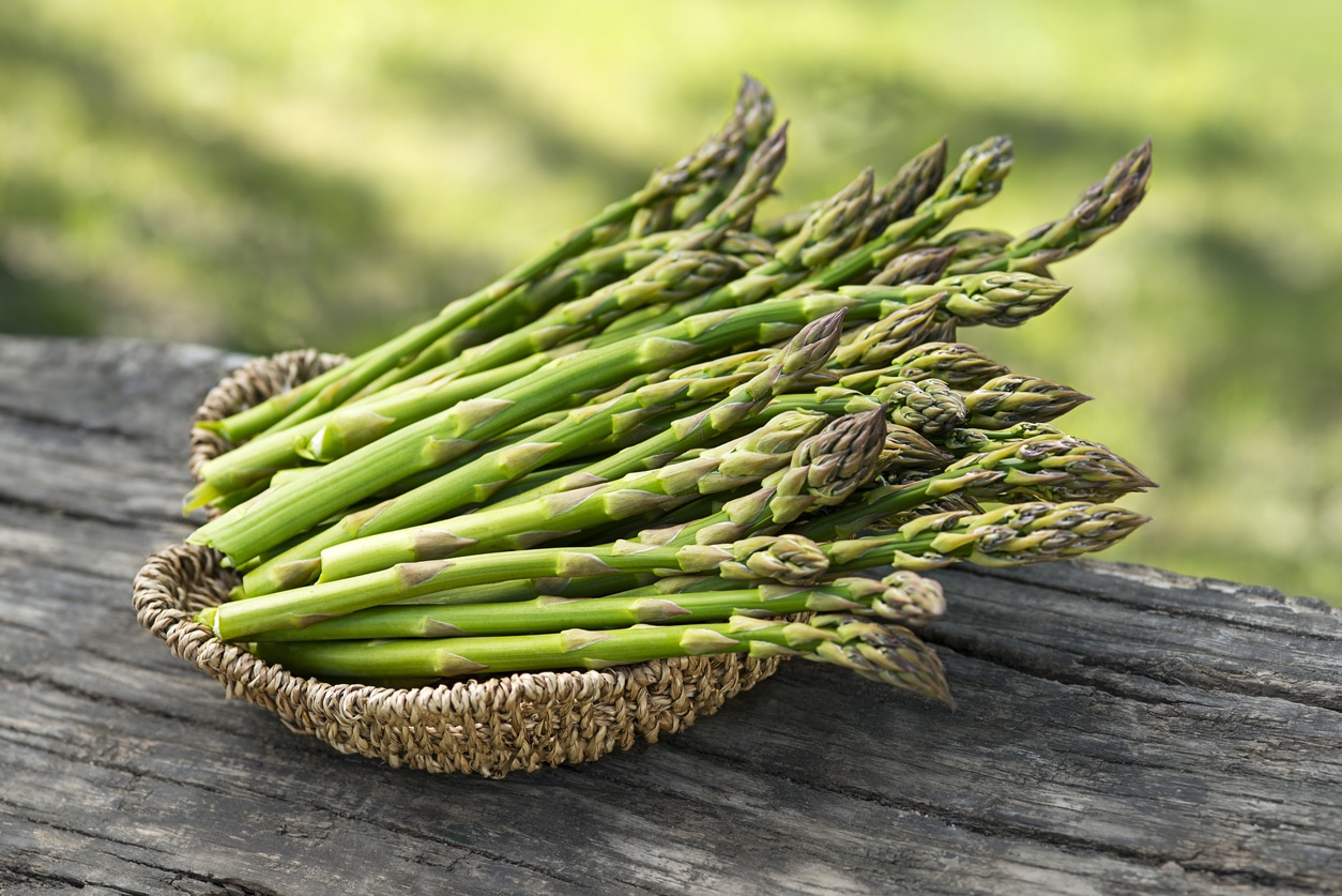 Con l’arrivo della primavera inizia la stagione degli asparagi: varietà e proprietà della verdura - Crediti iStock Photo